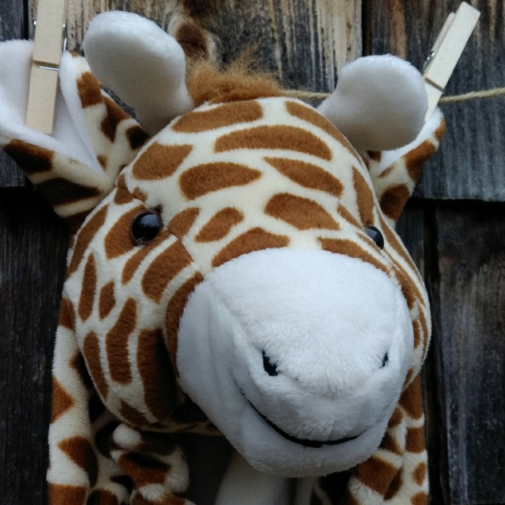 Giraffe ! BABY Giraffe suit. Up to 3 months.